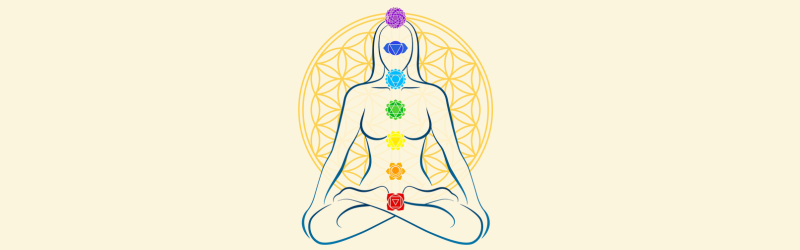 Coloured Chakras showing their distribution on the body