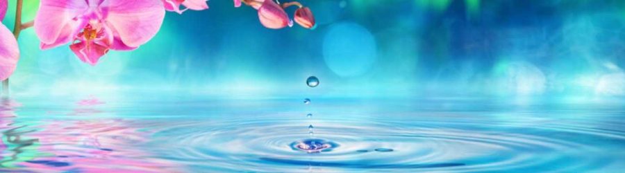 Pink orchid over a still pool of water to symbolise the calm that energy healing brings